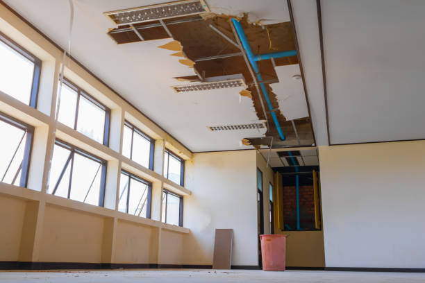 Best 24-hour water damage restoration  in Gila Bend, AZ