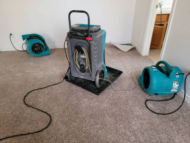  Gila Bend, AZ Water damage restoration Pros