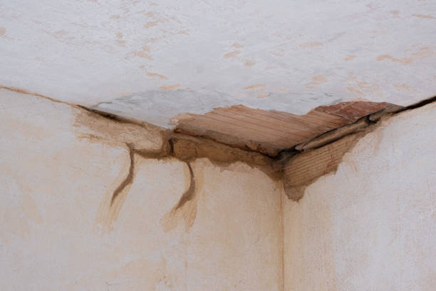 Best Water damage restoration near me  in Gila Bend, AZ