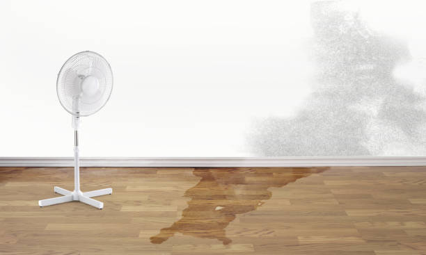 Best Sewage cleanup and water damage restoration  in Gila Bend, AZ