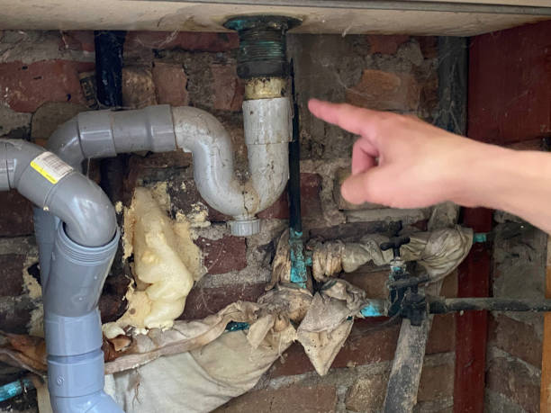 Best Water damage contractors near me  in Gila Bend, AZ