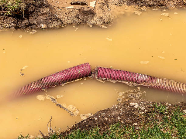 Best Carpet water damage restoration  in Gila Bend, AZ